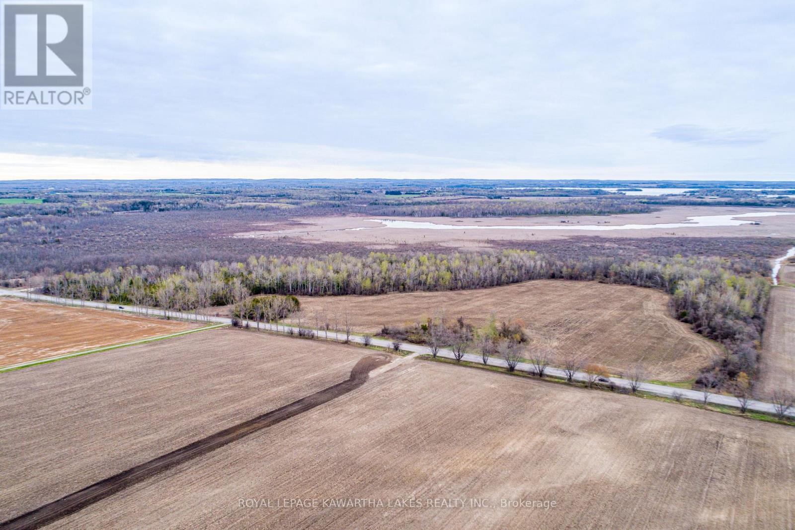 890 Ramsey Road, Kawartha Lakes, Ontario  K0M 2C0 - Photo 4 - X13079264