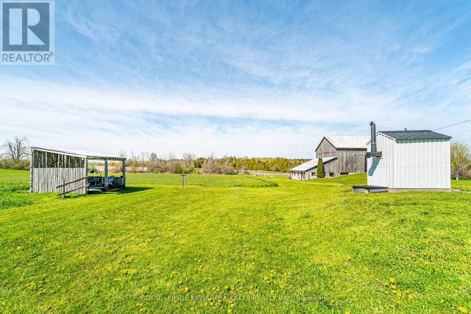 513 Taylors Road, Kawartha Lakes, Ontario  K0M 2M0 - Photo 15 - X13150000