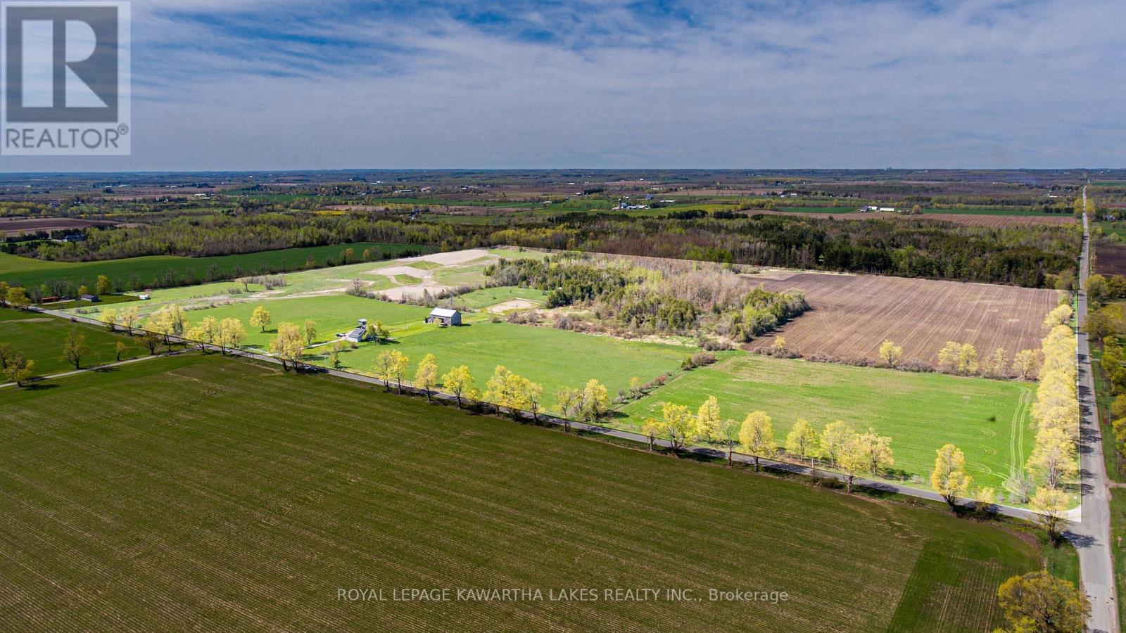 513 Taylors Road, Kawartha Lakes, Ontario  K0M 2M0 - Photo 9 - X13150000