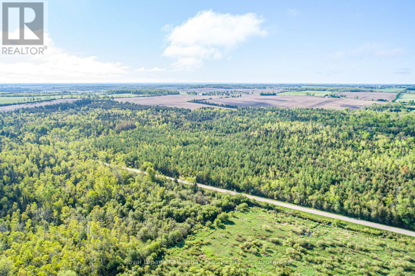 Lot 3 Black School Road, Kawartha Lakes, Ontario  K0M 2C0 - Photo 12 - X13483352