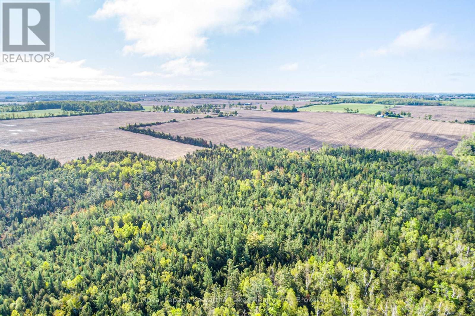 Lot 3 Black School Road, Kawartha Lakes, Ontario  K0M 2C0 - Photo 15 - X13483352