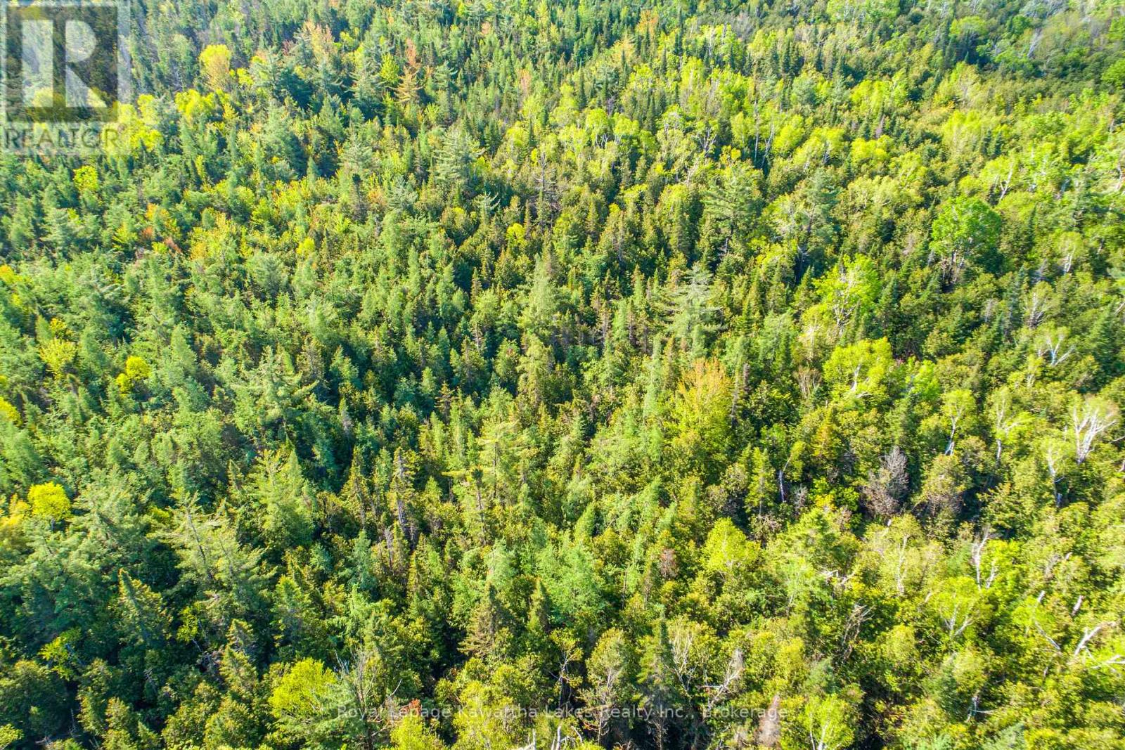 Lot 3 Black School Road, Kawartha Lakes, Ontario  K0M 2C0 - Photo 16 - X13483352
