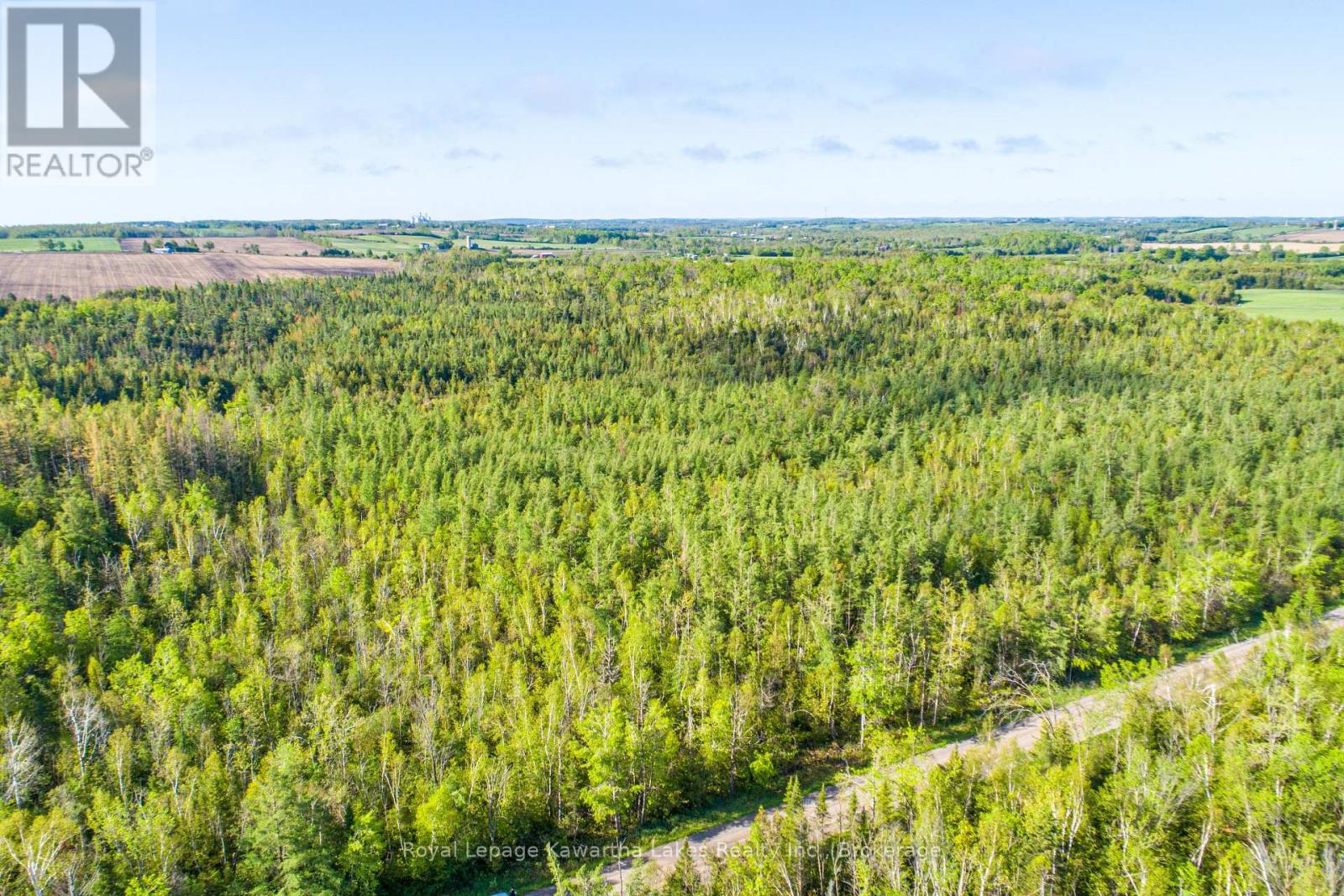 Lot 3 Black School Road, Kawartha Lakes, Ontario  K0M 2C0 - Photo 18 - X13483352