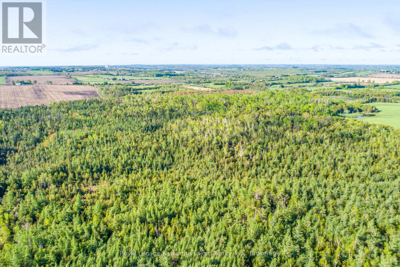 Lot 3 Black School Road, Kawartha Lakes, Ontario  K0M 2C0 - Photo 6 - X13483352