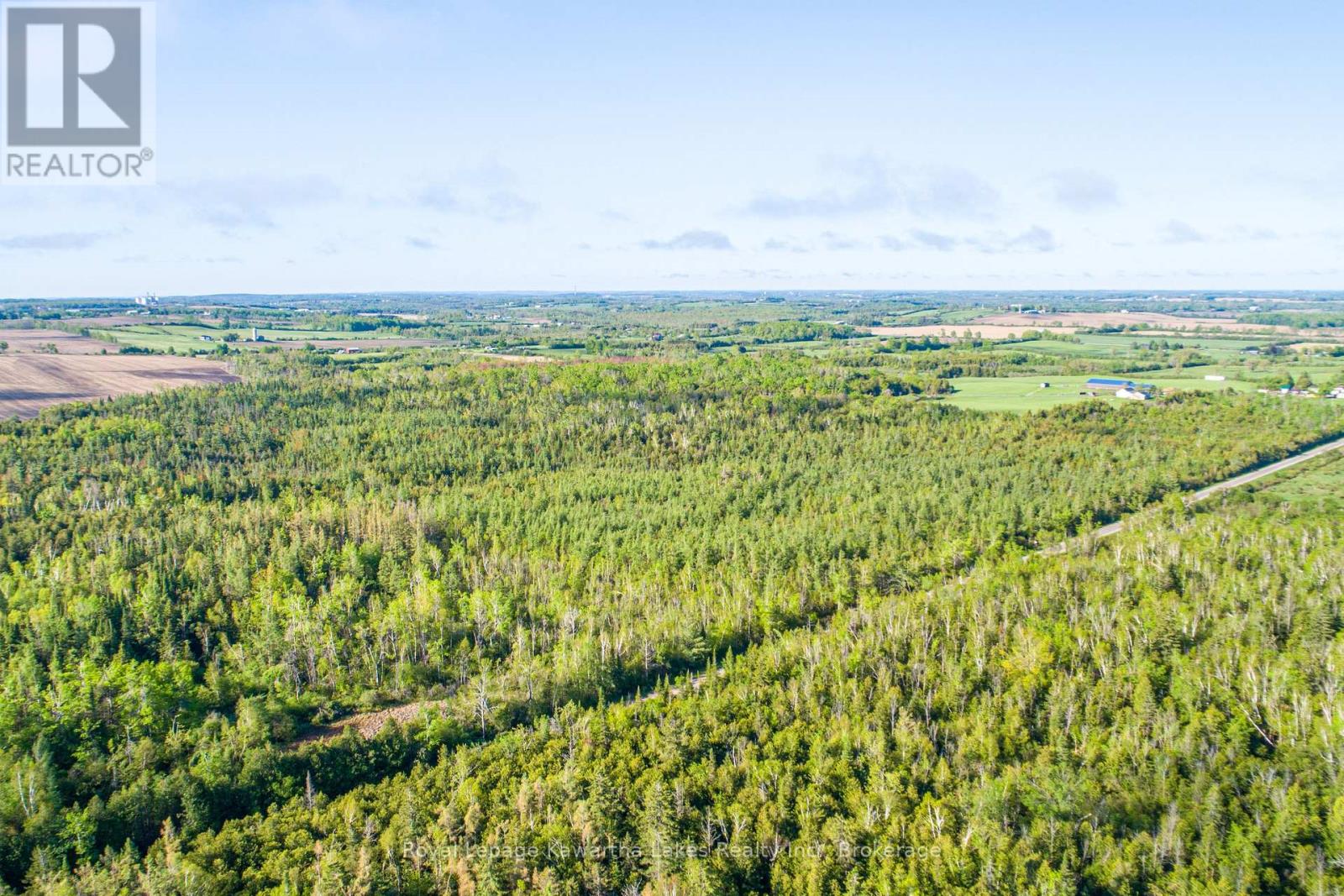 Lot 3 Black School Road, Kawartha Lakes, Ontario  K0M 2C0 - Photo 9 - X13483352