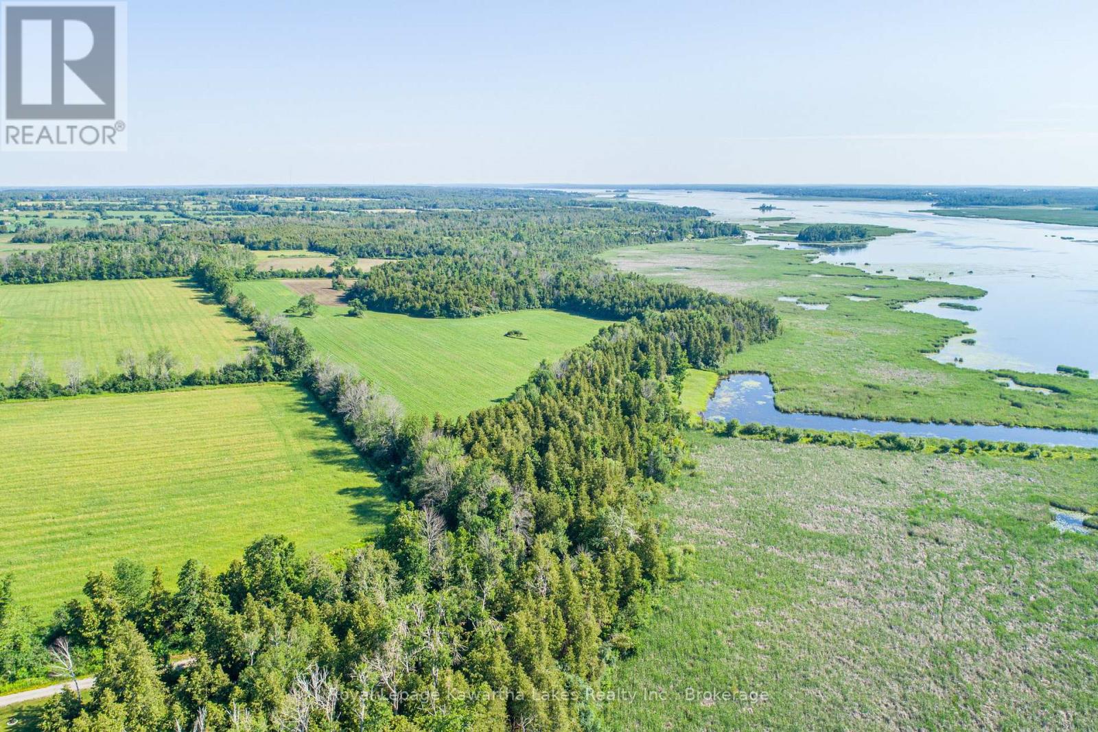 36 Spen Haven Road, Kawartha Lakes, Ontario  K9V 0K3 - Photo 1 - X13505708
