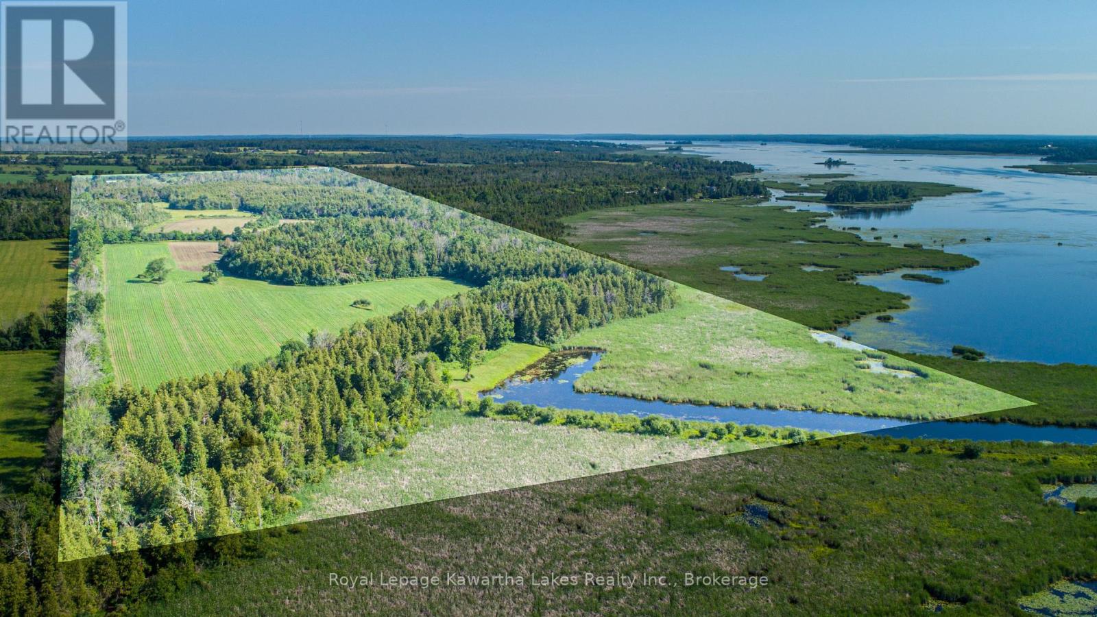 36 Spen Haven Road, Kawartha Lakes, Ontario  K9V 0K3 - Photo 11 - X13505708