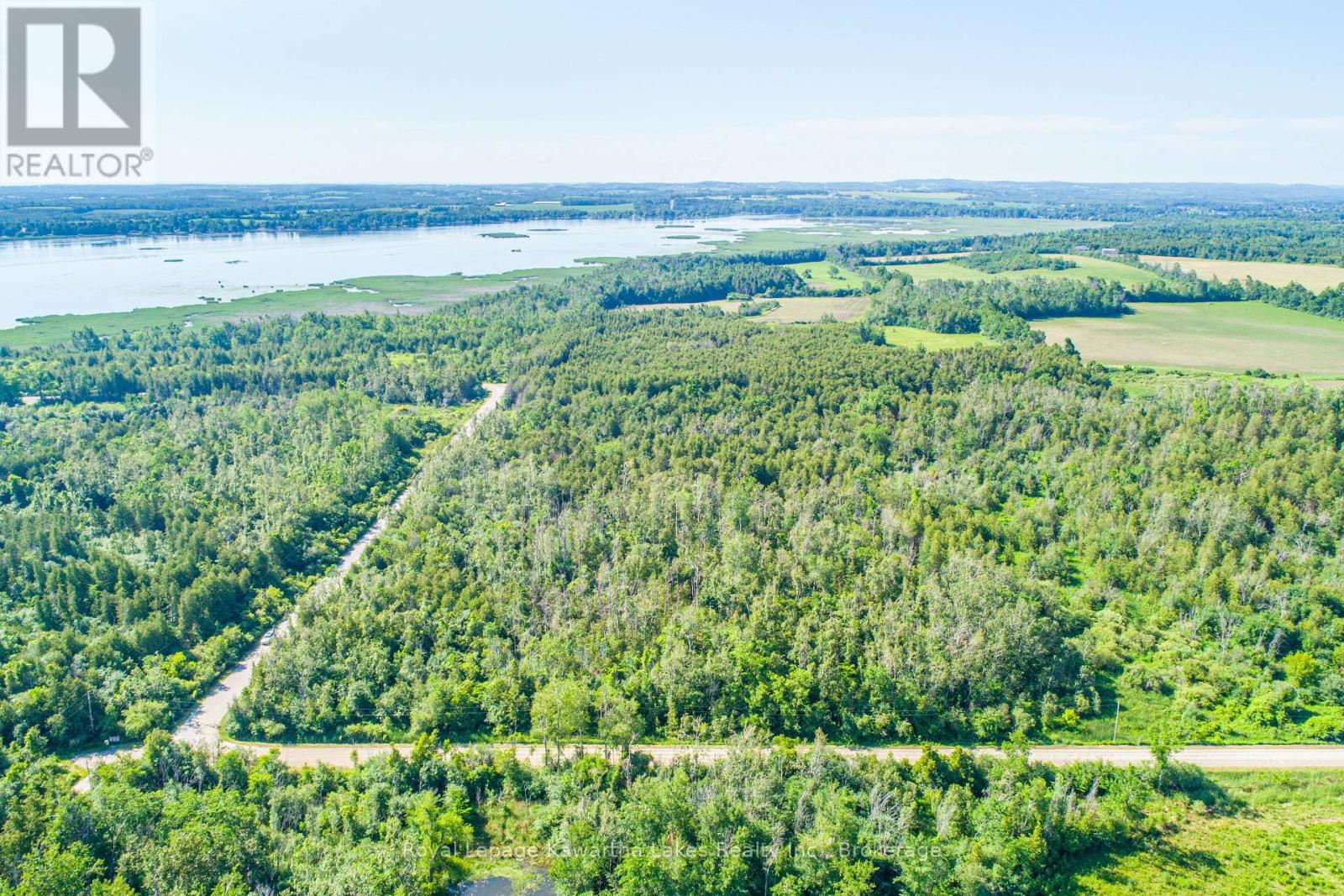 36 Spen Haven Road, Kawartha Lakes, Ontario  K9V 0K3 - Photo 13 - X13505708