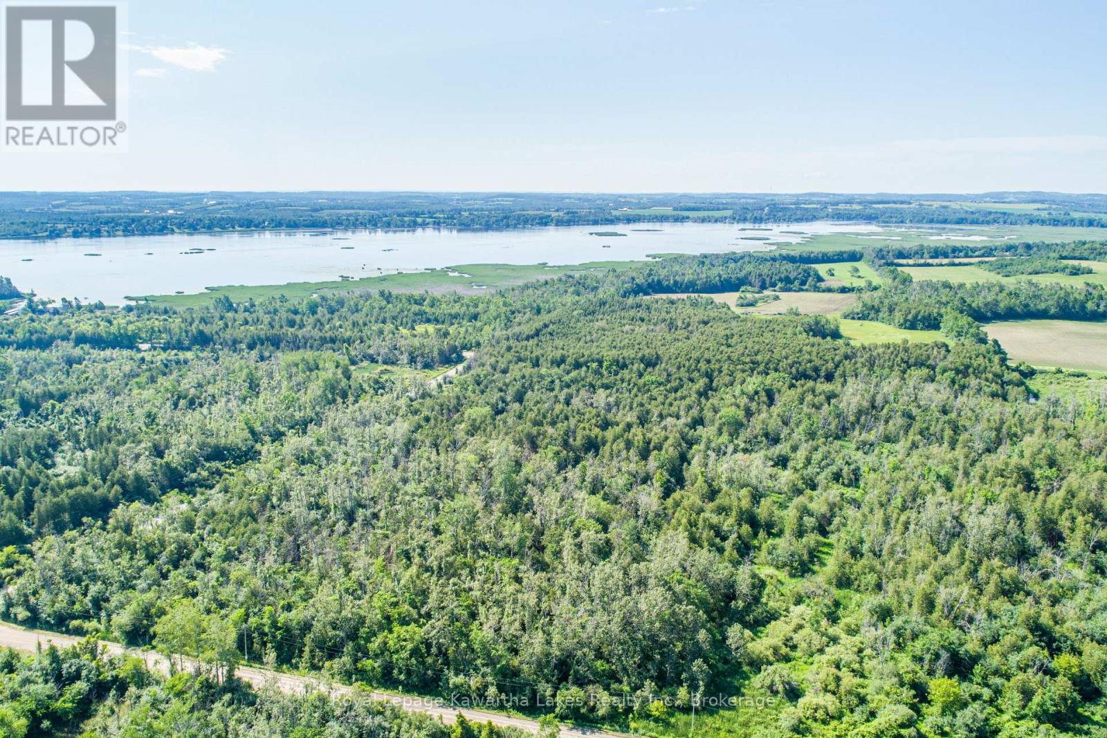 36 Spen Haven Road, Kawartha Lakes, Ontario  K9V 0K3 - Photo 17 - X13505708