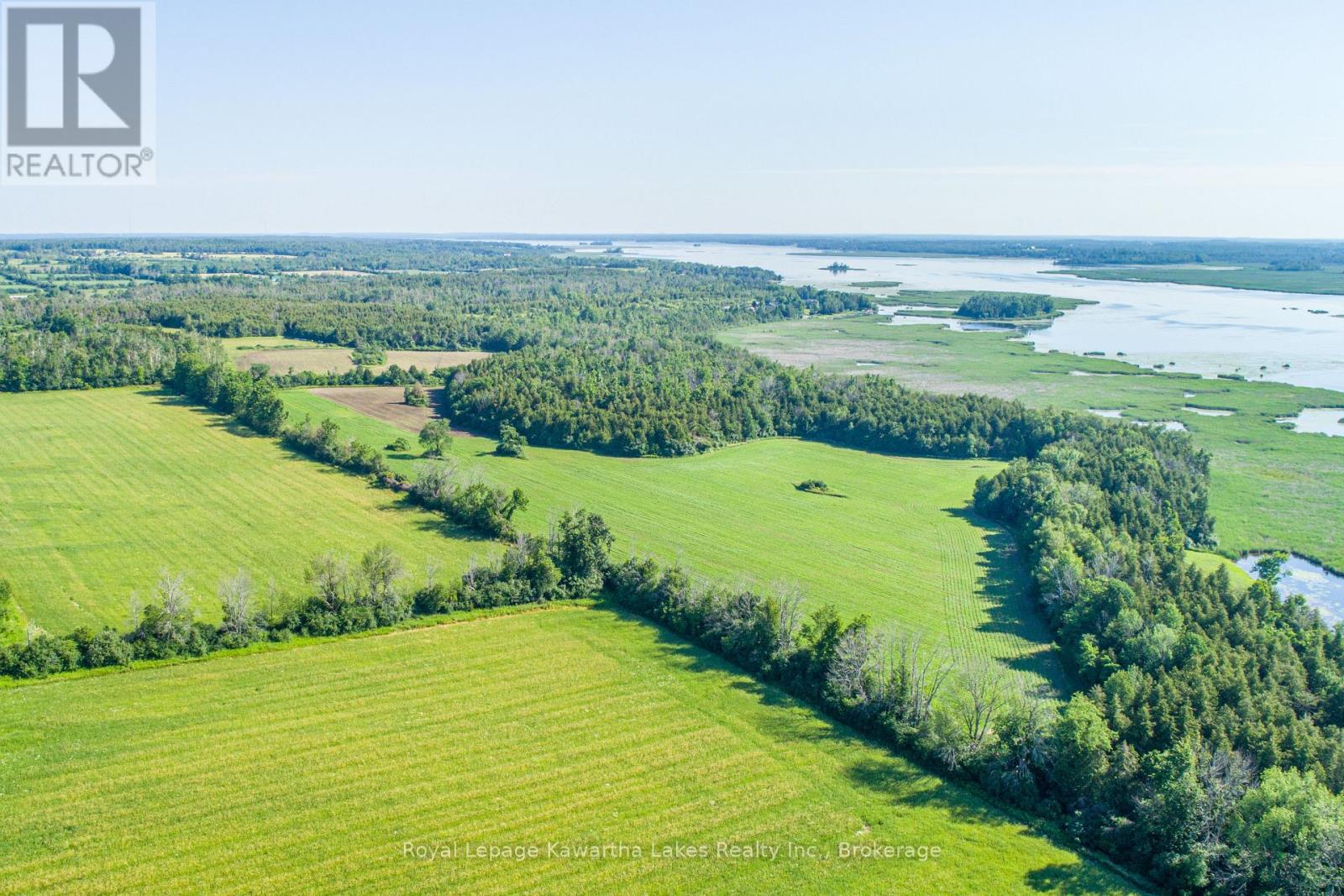 36 Spen Haven Road, Kawartha Lakes, Ontario  K9V 0K3 - Photo 2 - X13505708
