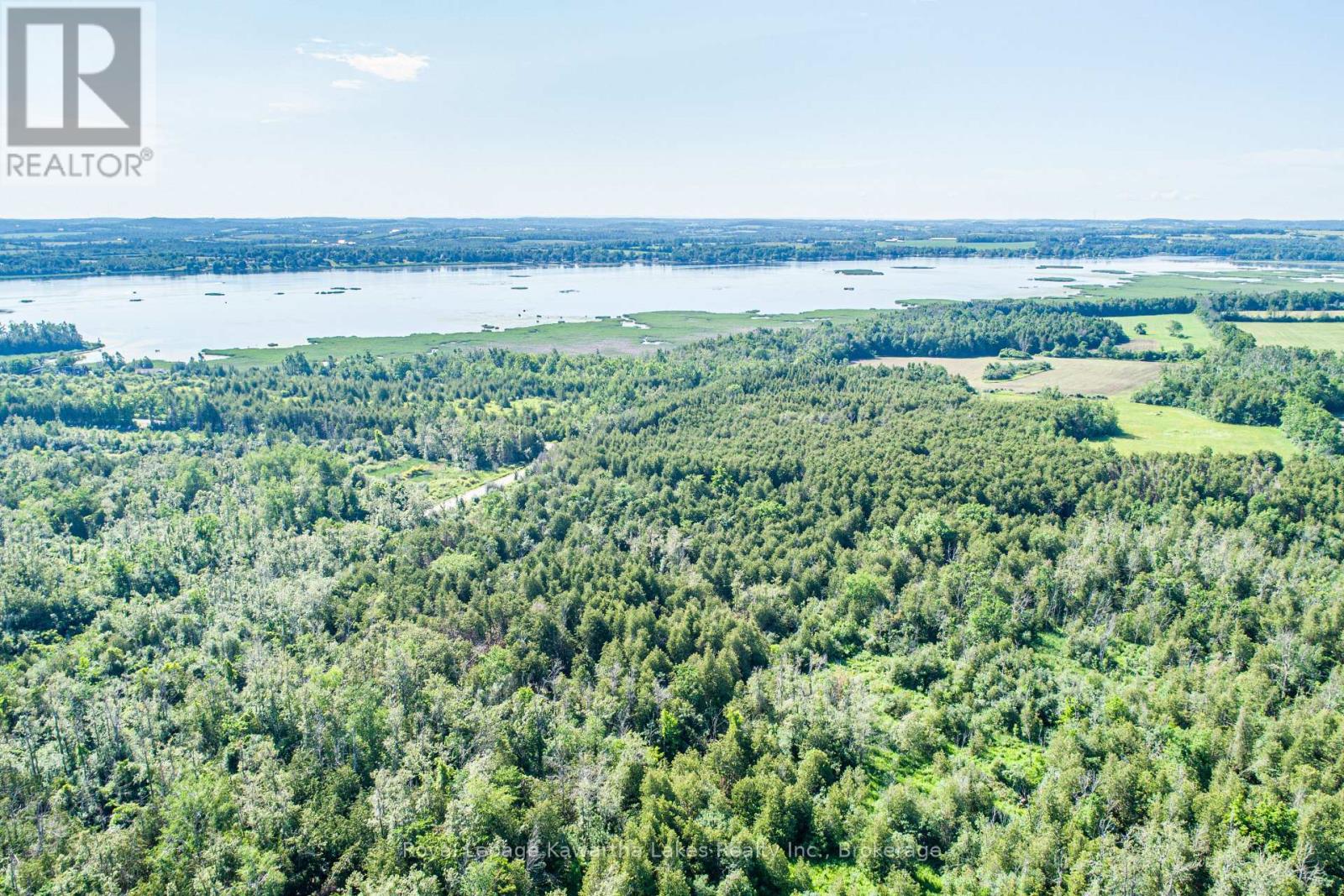 36 Spen Haven Road, Kawartha Lakes, Ontario  K9V 0K3 - Photo 20 - X13505708