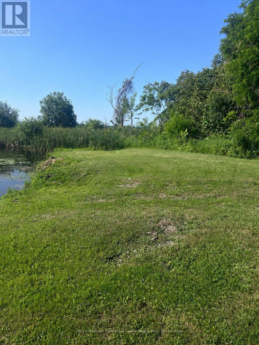 36 Spen Haven Road, Kawartha Lakes, Ontario  K9V 0K3 - Photo 33 - X13505708
