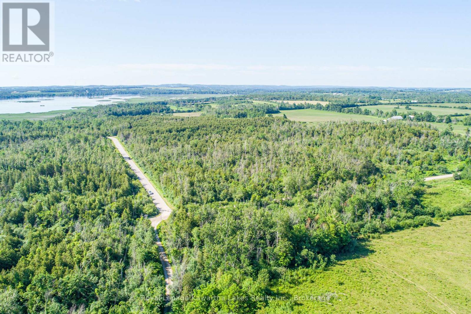 36 Spen Haven Road, Kawartha Lakes, Ontario  K9V 0K3 - Photo 6 - X13505708