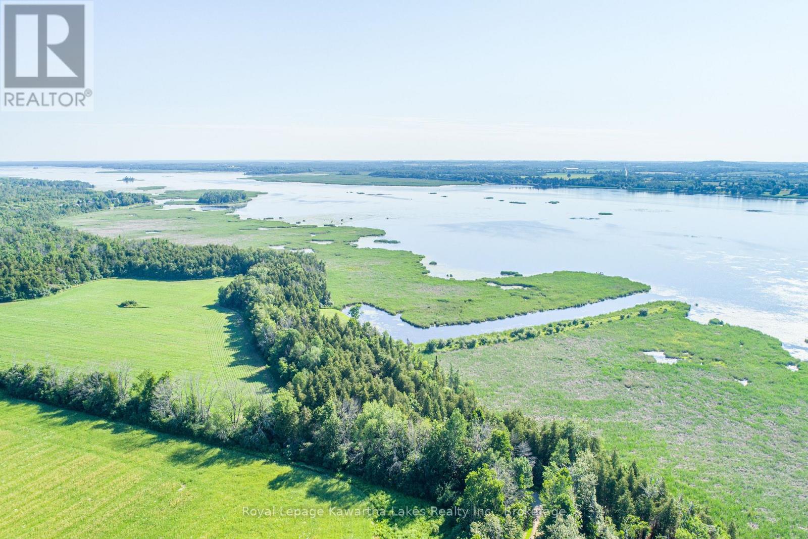 36 Spen Haven Road, Kawartha Lakes, Ontario  K9V 0K3 - Photo 8 - X13505708